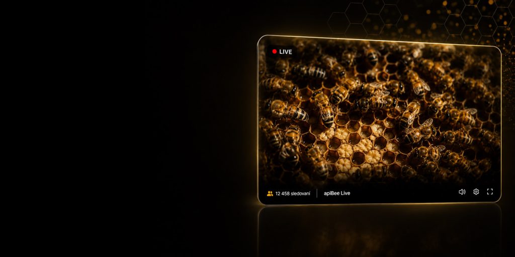 live-stream-bg